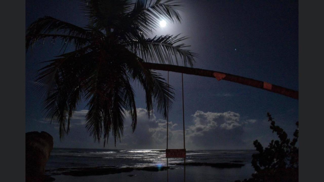 Hotel Casa Vito Beachfront Puerto Viejo de Talamanca Экстерьер фото
