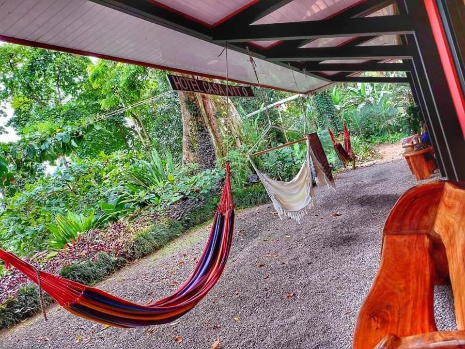 Hotel Casa Vito Beachfront Puerto Viejo de Talamanca Экстерьер фото